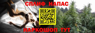 индика Наро-Фоминск