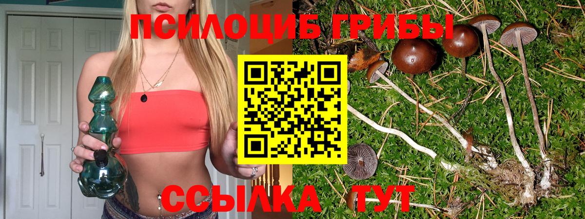 Псилоцибиновые грибы прущие грибы  Псилоцибиновые грибы ЛСД  Вход с VPN  Электрогорск 