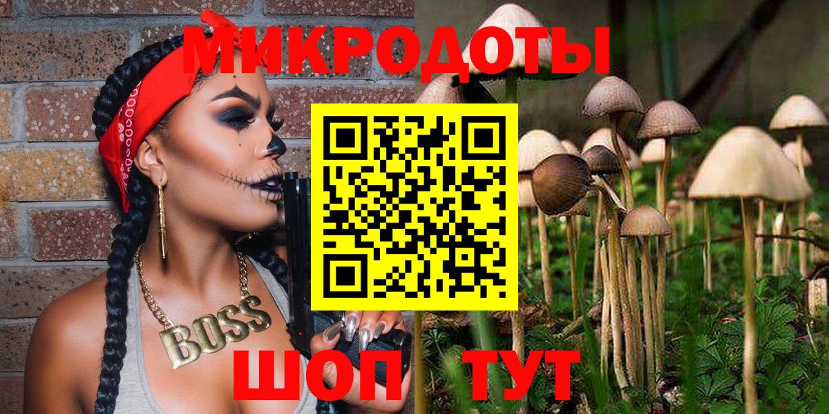 Псилоцибиновые грибы Cubensis Электрогорск