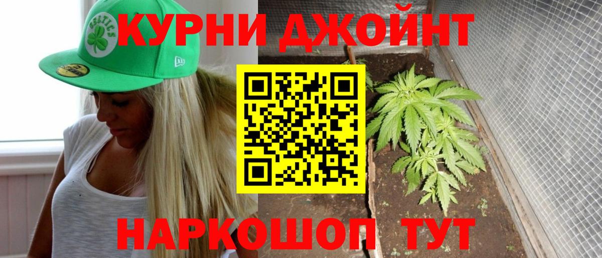 Бошки марихуана план Электрогорск